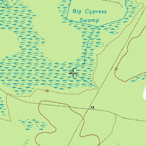 Topographic Map of Big Cypress Swamp, GA
