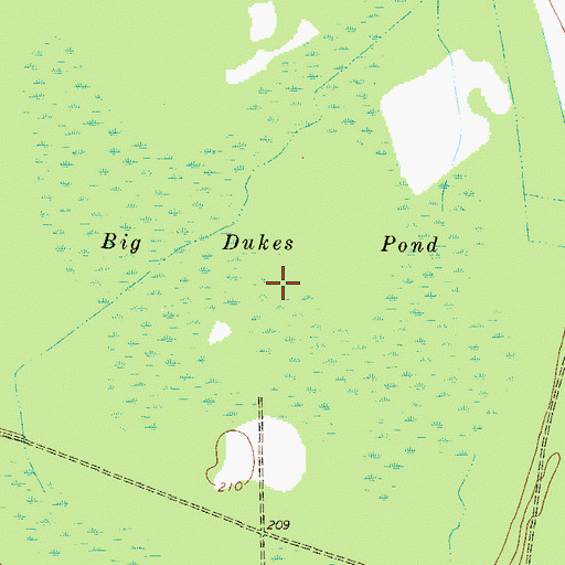Topographic Map of Big Dukes Pond, GA