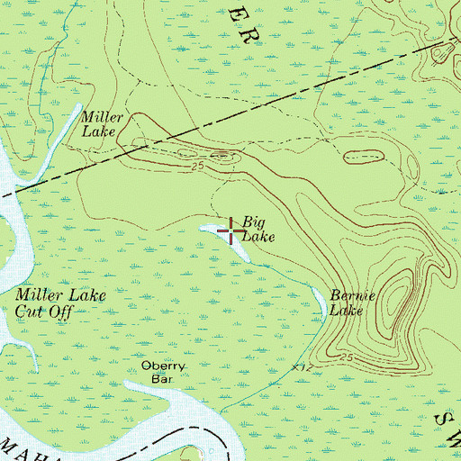 Topographic Map of Big Lake, GA