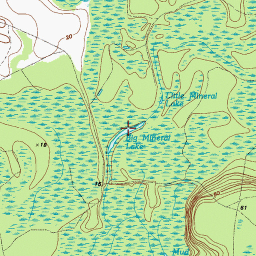 Topographic Map of Big Mineral Lake, GA