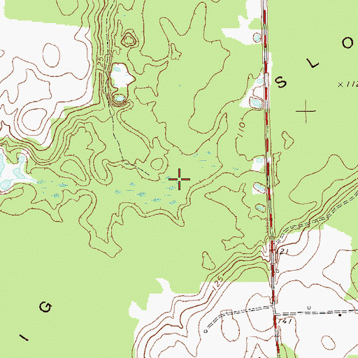 Topographic Map of Big Slough, GA