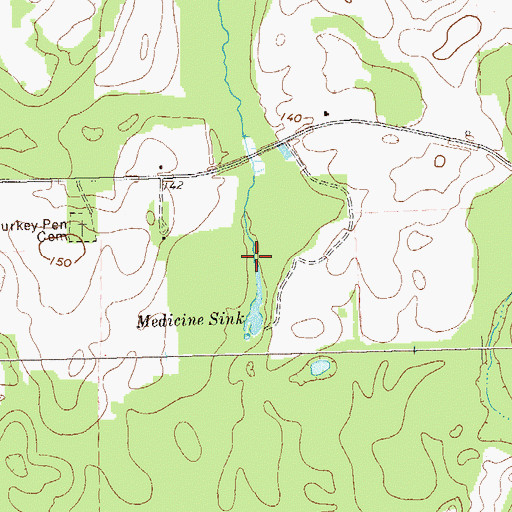 Topographic Map of Big Slough, GA