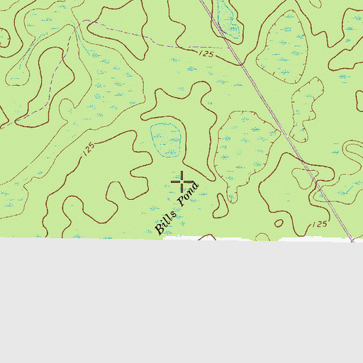 Topographic Map of Bills Pond, GA