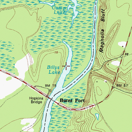 Topographic Map of Billys Lake, GA