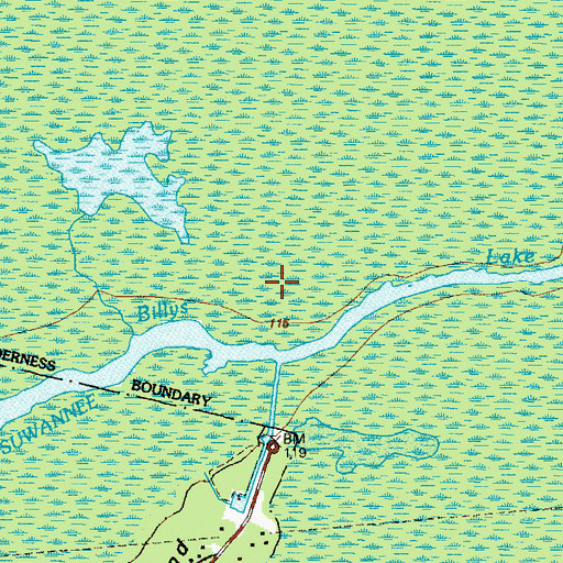 Topographic Map of Billys Lake, GA