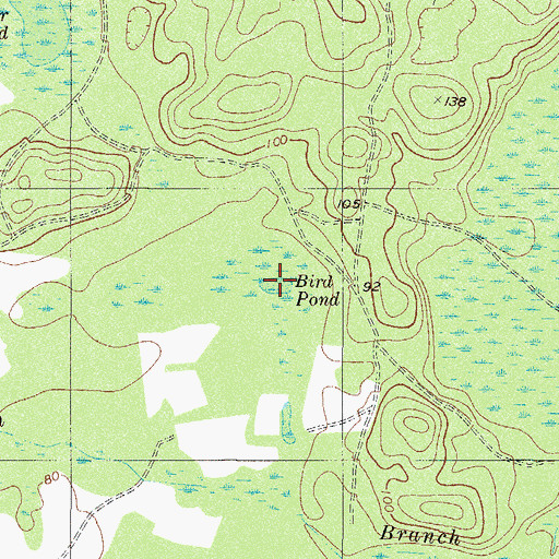 Topographic Map of Bird Pond, GA