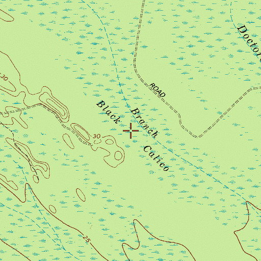Topographic Map of Black Calico, GA