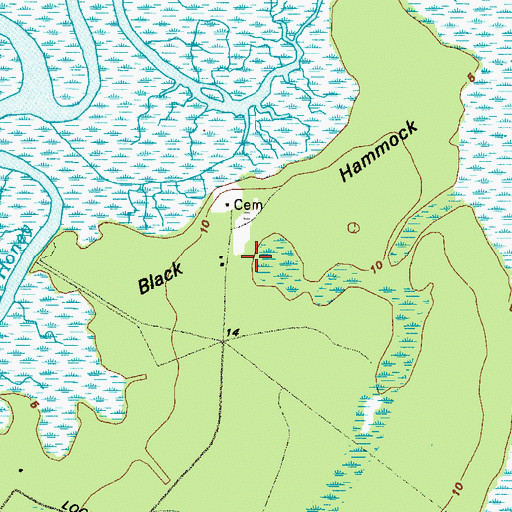 Topographic Map of Black Hammock, GA