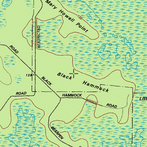Topographic Map of Black Hammock, GA