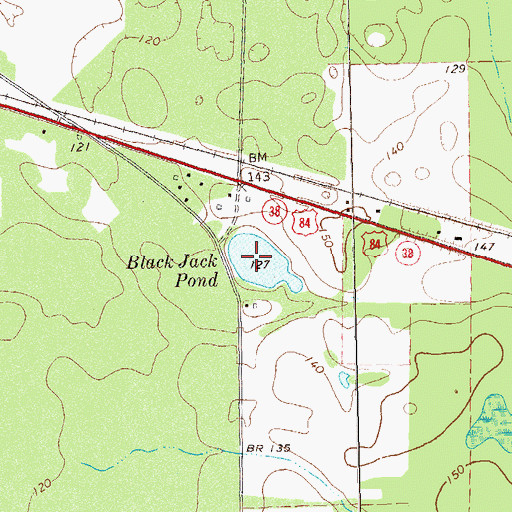 Topographic Map of Black Jack Pond, GA