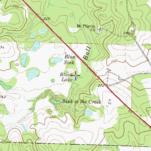 Topographic Map of Black Lake, GA
