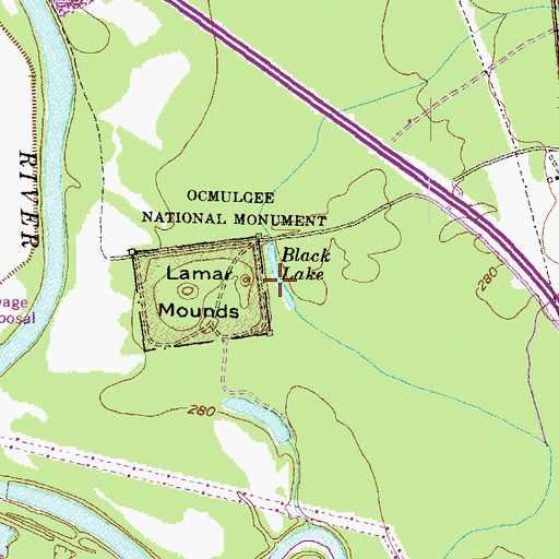 Topographic Map of Black Lake, GA