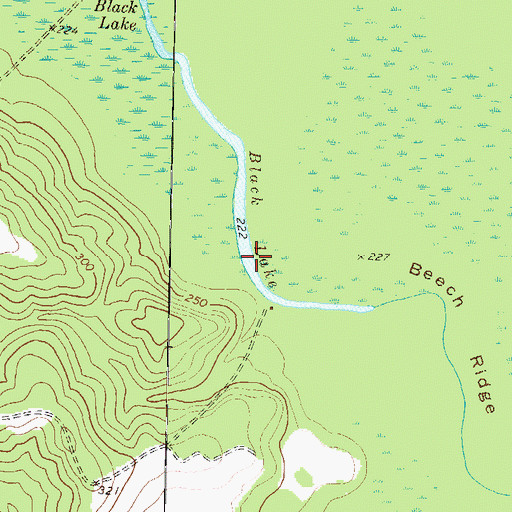 Topographic Map of Black Lake, GA