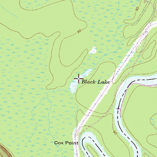Topographic Map of Black Lake, GA