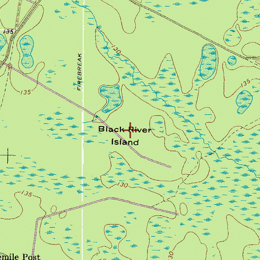 Topographic Map of Black River Island, GA