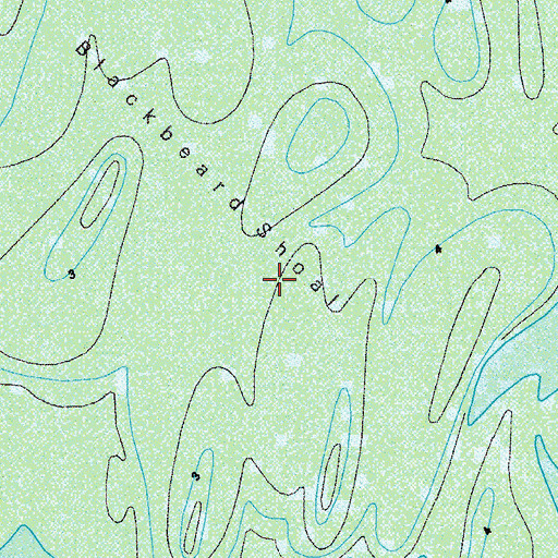 Topographic Map of Blackbeard Shoal, GA