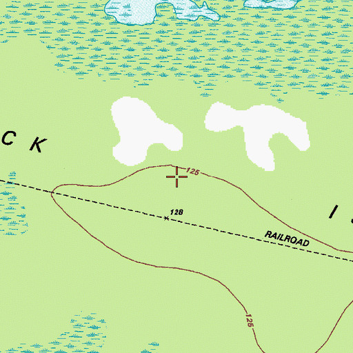 Topographic Map of Blackjack Island, GA