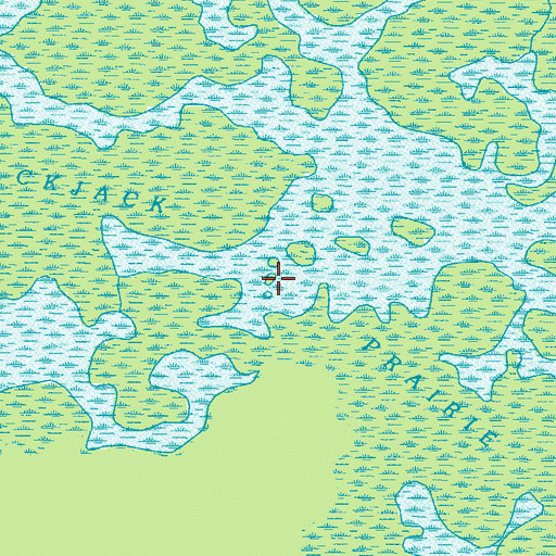 Topographic Map of Blackjack Prairie, GA
