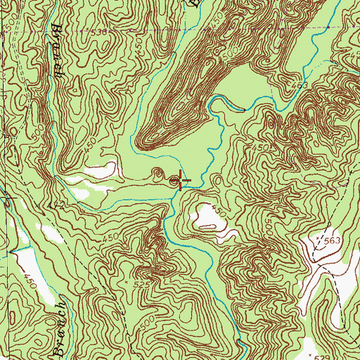 Topographic Map of Blackman Branch, GA