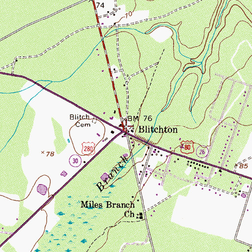 Topographic Map of Blitchton, GA