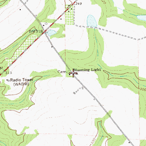 Topographic Map of Blooming Light Church, GA
