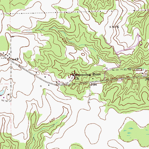 Topographic Map of Blooming Rose Church, GA