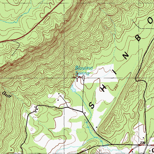 Topographic Map of Blowing Spring, GA