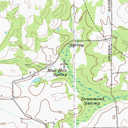 Topographic Map of Blue Hole Spring, GA