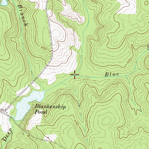 Topographic Map of Blue Spring Branch, GA