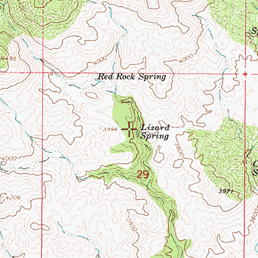 Topographic Map of Lizard Spring, AZ