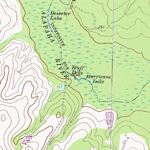Topographic Map of Bluff Lake, GA