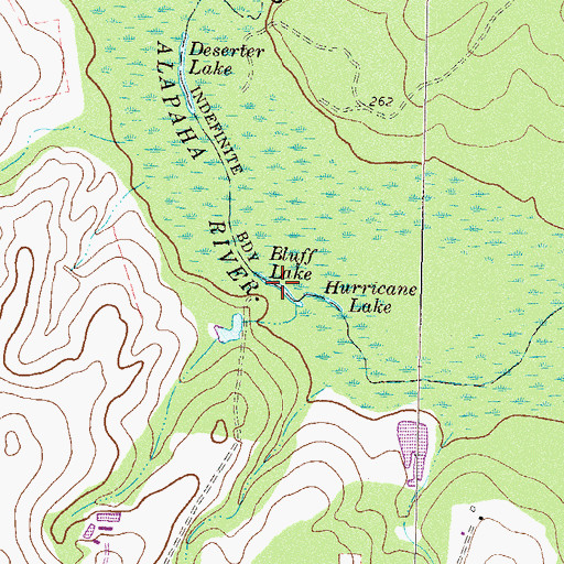 Topographic Map of Bluff Lake, GA