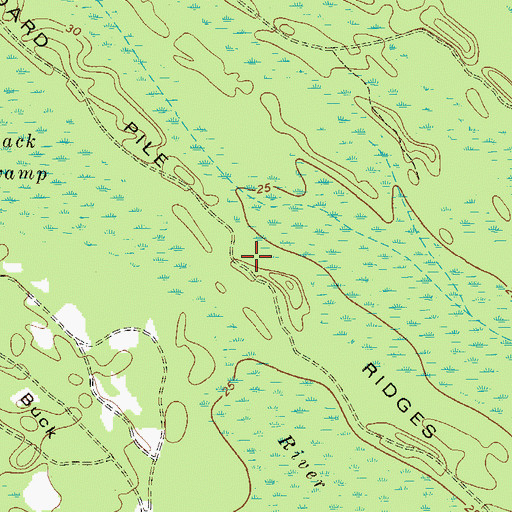 Topographic Map of Board Pile Ridges, GA