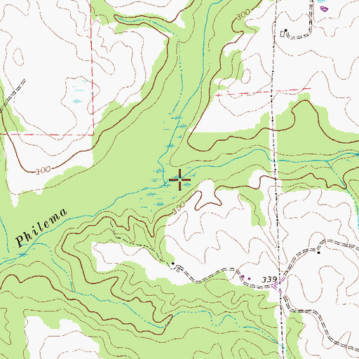 Topographic Map of Boggy Branch, GA