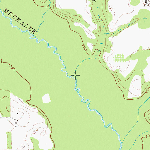 Topographic Map of Boggy Branch, GA