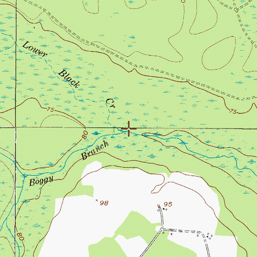Topographic Map of Boggy Branch, GA