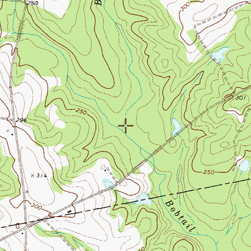Topographic Map of Boggy Branch, GA