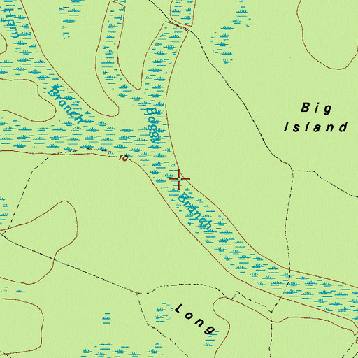 Topographic Map of Boggy Branch, GA