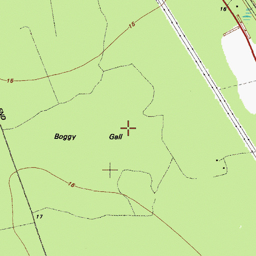 Topographic Map of Boggy Gall, GA