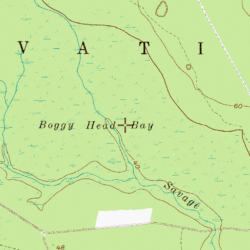 Topographic Map of Boggy Head Bay, GA