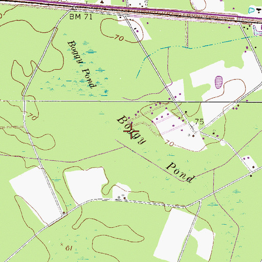 Topographic Map of Boggy Pond, GA