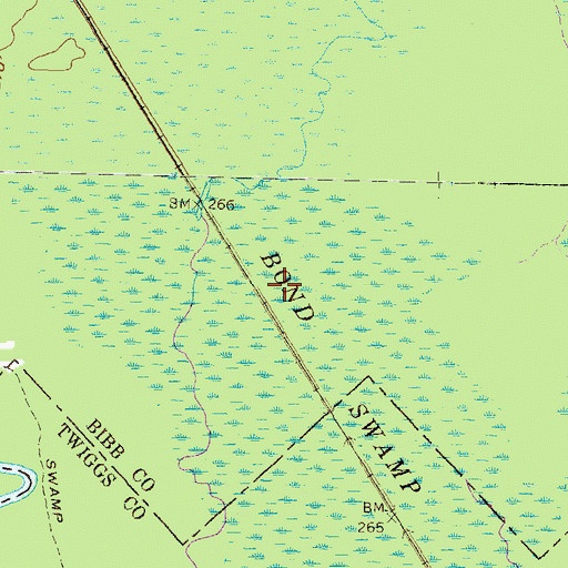 Topographic Map of Bond Swamp, GA