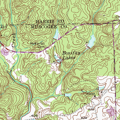 Topographic Map of Bonifay Lakes, GA