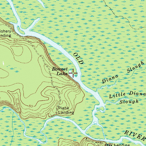 Topographic Map of Bonnet Lake, GA