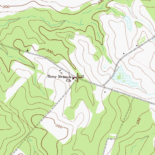 Topographic Map of Bony Branch Church, GA
