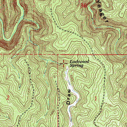 Topographic Map of Lockwood Spring, AZ