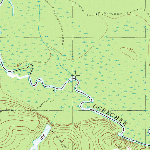 Topographic Map of Brady Branch, GA