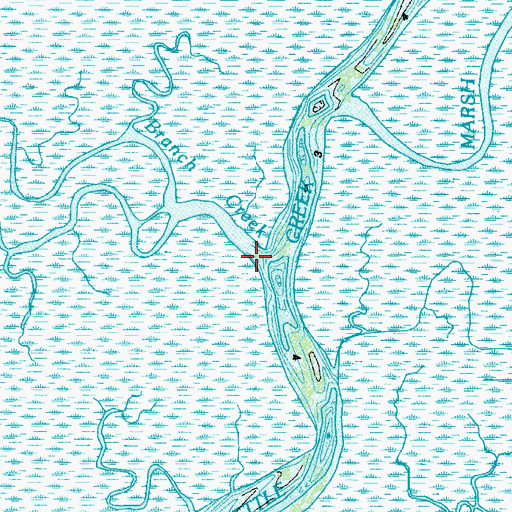 Topographic Map of Branch Creek, GA