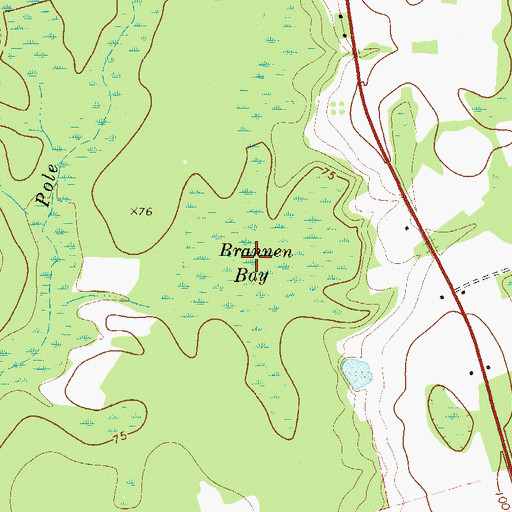 Topographic Map of Brannen Bay, GA