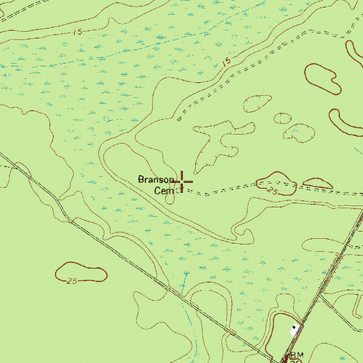 Topographic Map of Branson Cemetery, GA